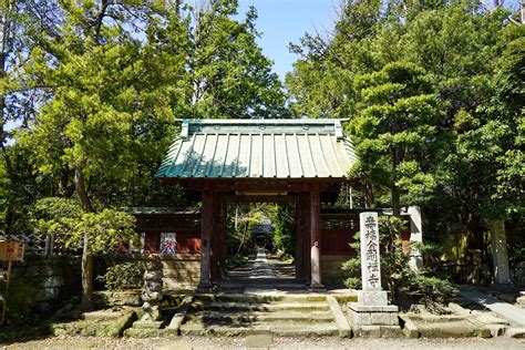 壽福|鎌倉・寿福寺 境内散歩